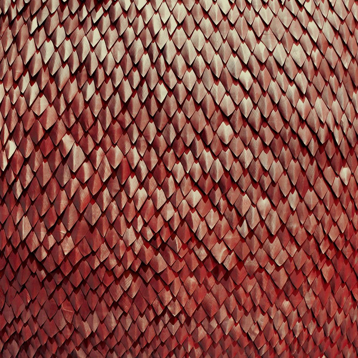 products.gallery.thumbnail_alt